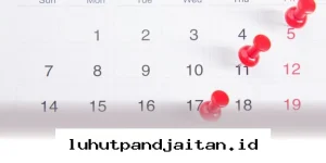 Catat Tanggal Libur Mei 2026, Cek Jadwal Lengkap Idul Adha dan Cuti Bersama di Sini!