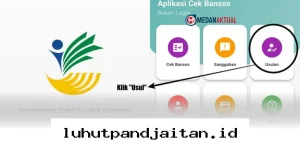 Panduan Praktis Daftar Bansos Kemensos 2026 Lewat HP Anti Ribet!