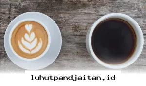 Rekomendasi Biji Kopi Favorit yang Wajib Anda Coba Sekarang Juga!
